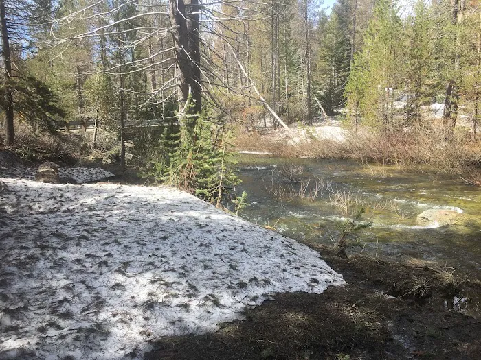 Buck Meadow Campground Picture 2