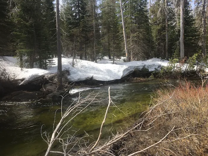 Buck Meadow Campground Picture 6
