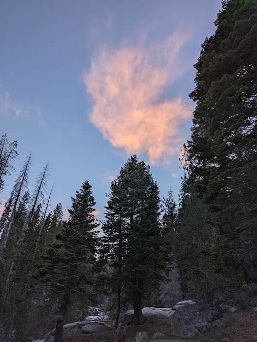 Buck Meadow Campground Picture 9