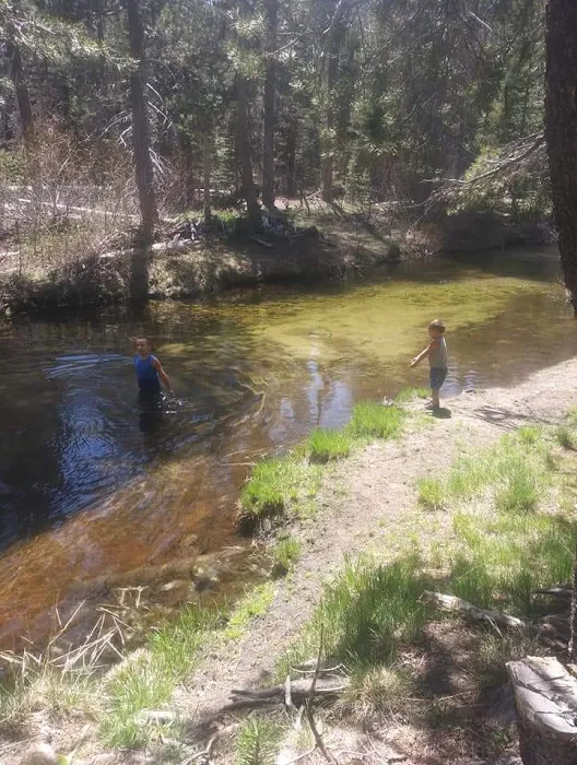 Buck Meadow Campground Picture 10
