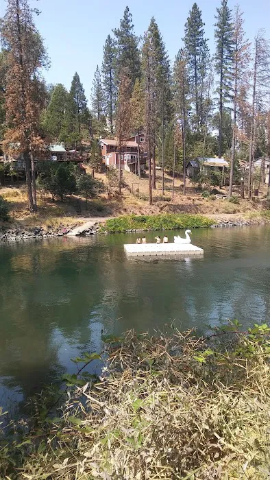 Kirch Flat Campground Picture 9