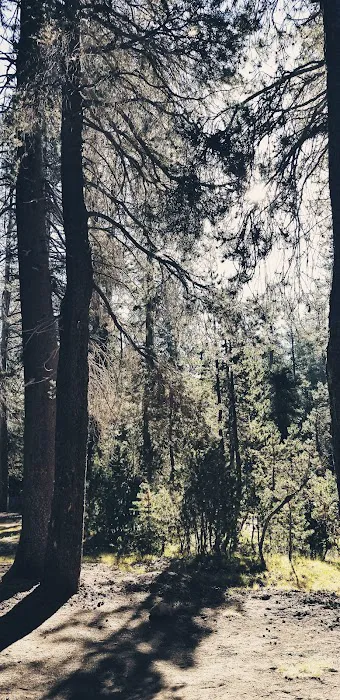 Badger Flat Campground Picture 4