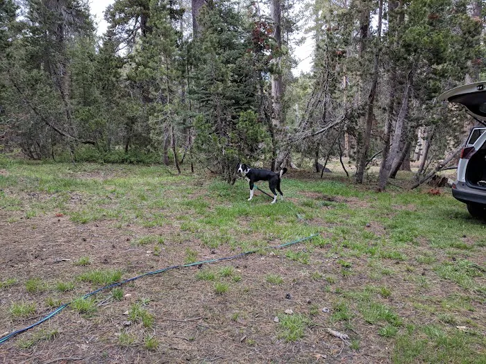 Badger Flat Campground Picture 5