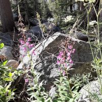 Badger Flat Campground ico