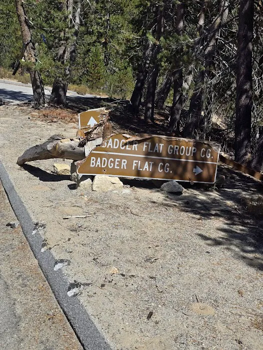 Badger Flat Campground Picture 3