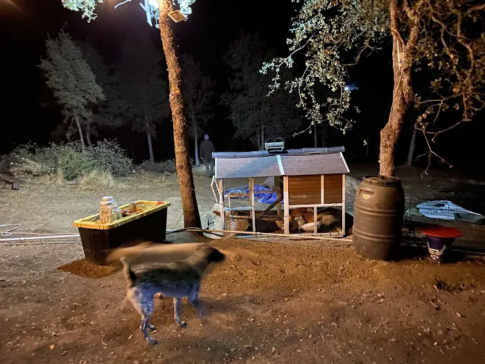 Camp ikigai Animal Sanctuary 501c3 Picture 1