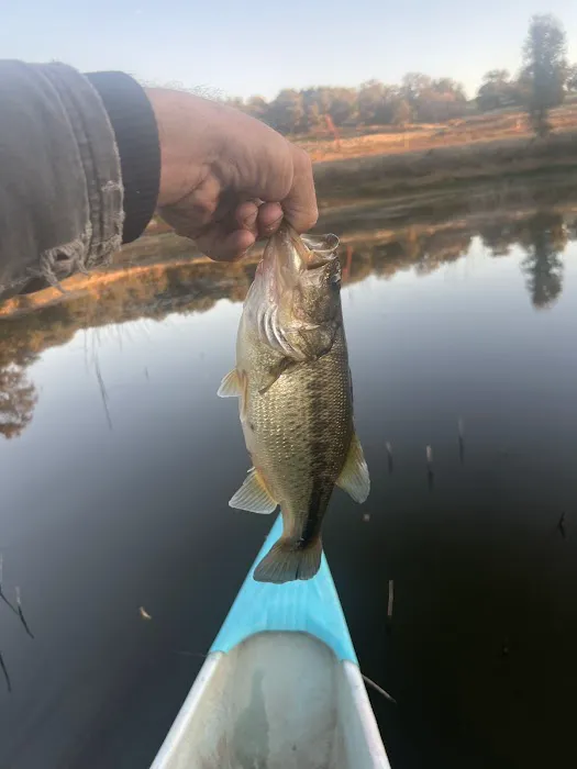 Dunlap canyon retreat Picture 10