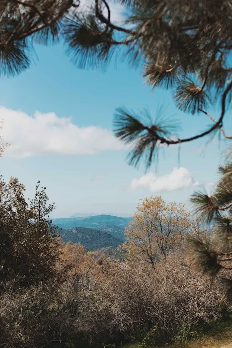 Sequoia Highland Camp Picture 7