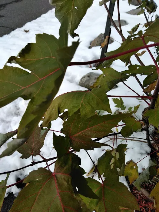 Spring Valley Village Manufactured Home Community Picture 4