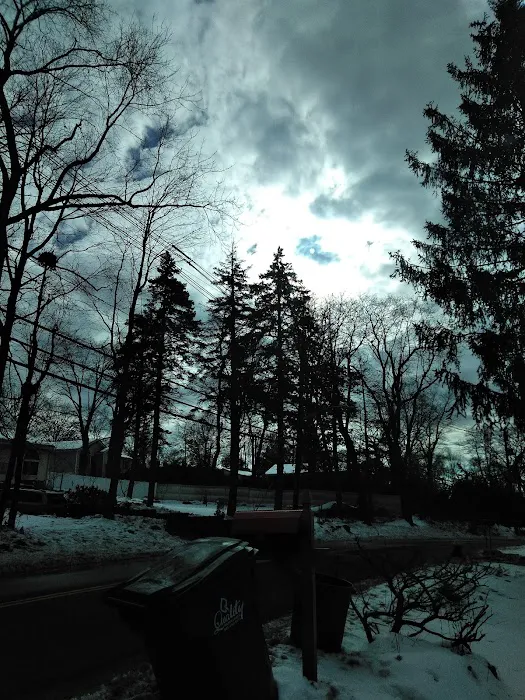 Spring Valley Village Manufactured Home Community Picture 6