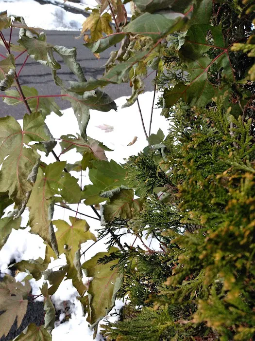 Spring Valley Village Manufactured Home Community Picture 7