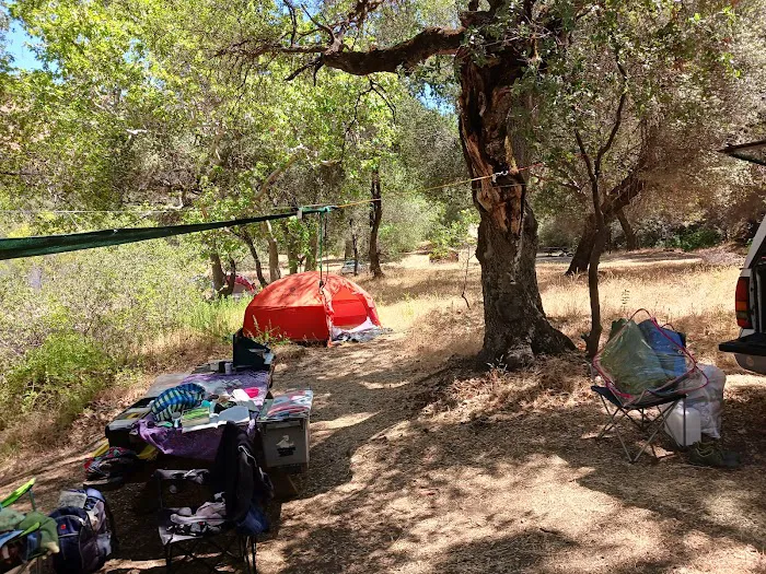 Camp 4 Campground Picture 3