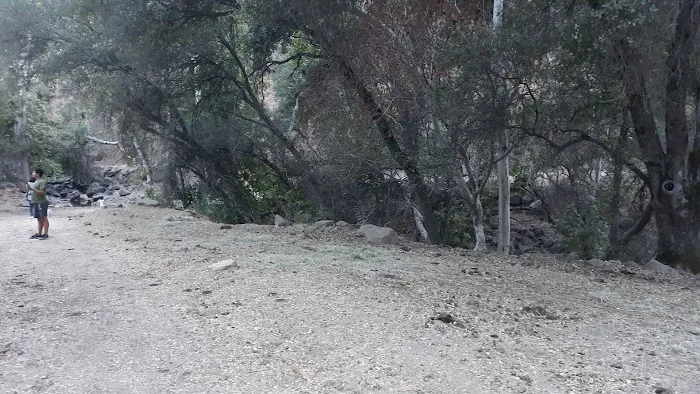 Camp 4 Campground Picture 9