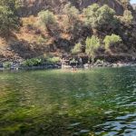 Green Cabin Flat Campground (recgovnpsdata)