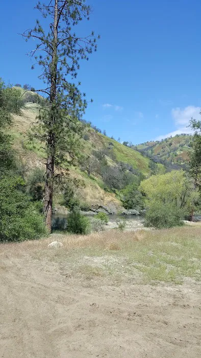 Green Cabin Flat Campground (recgovnpsdata) Picture 5
