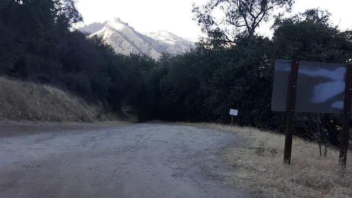 Mill Flat Campground Picture 9