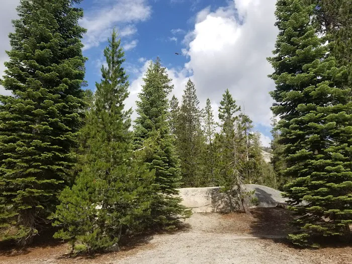 Upper Soda Springs Campground Picture 10