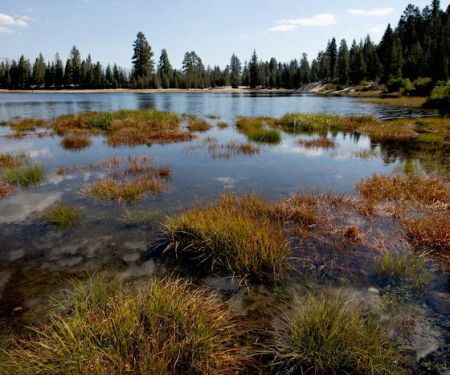 Camp Sixty One Campground