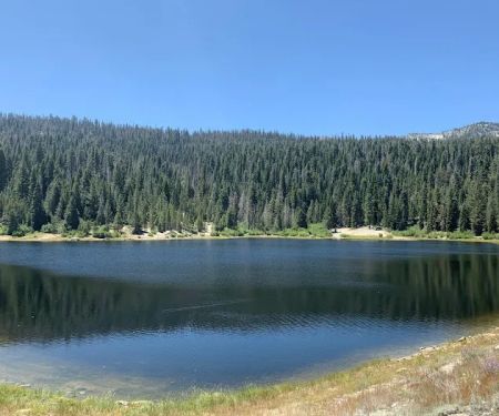 Portal Forebay Campground