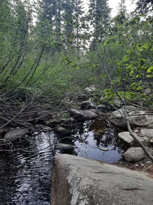 Portal Forebay Campground Picture 10