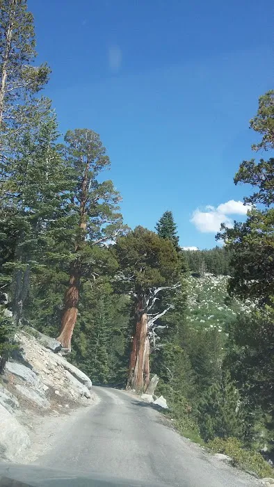 Bolsillo Campground Picture 6