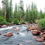 Mono Creek Day Use Area