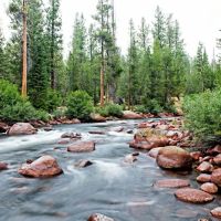 Mono Creek Day Use Area ico