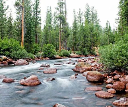 Mono Creek Day Use Area