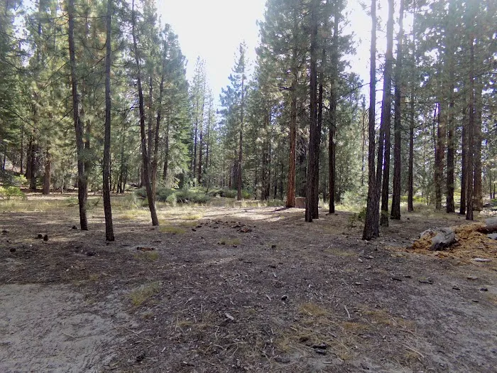 Mono Creek Day Use Area Picture 6