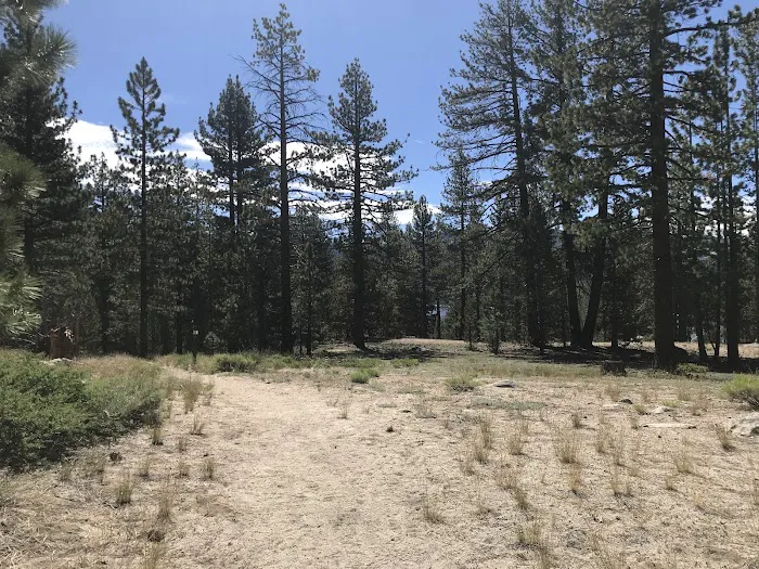 Mono Creek Day Use Area Picture 9