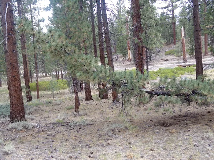Mono Creek Day Use Area Picture 10