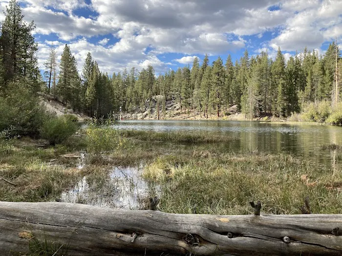 Mono Creek Campground Picture 3