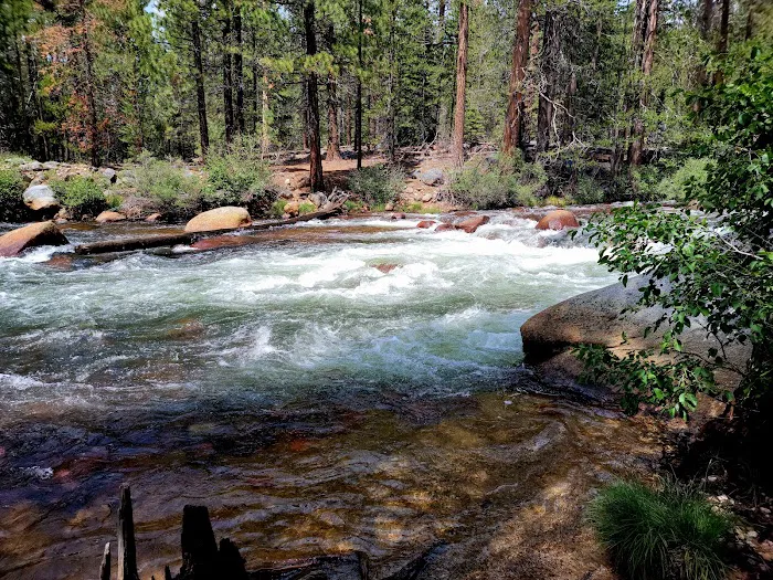 Mono Creek Campground Picture 5