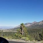 Twin Lakes Campground