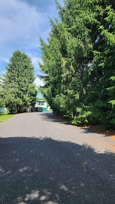 Cherry Mobile Home Park Picture 4