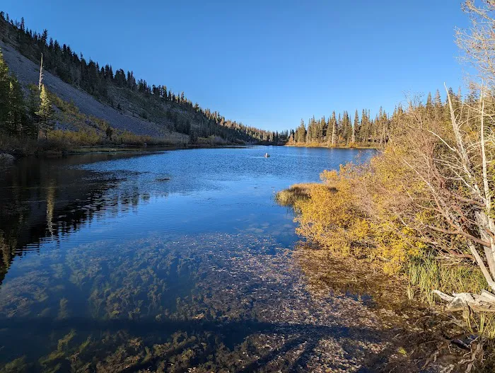 Twin Lakes Campground Picture 3