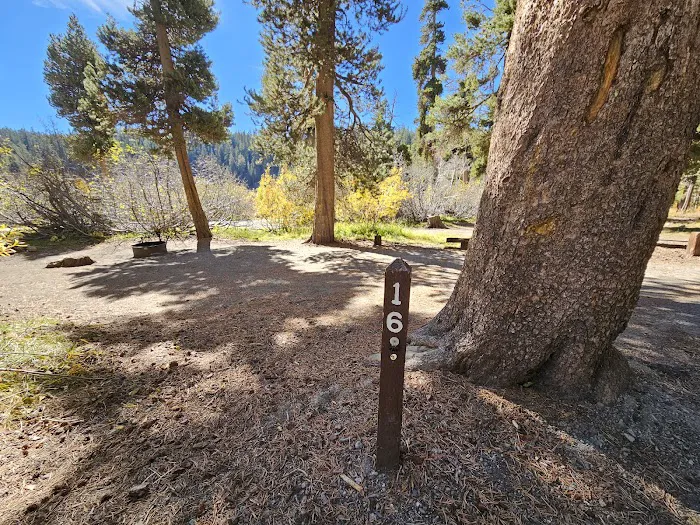 Twin Lakes Campground Picture 4