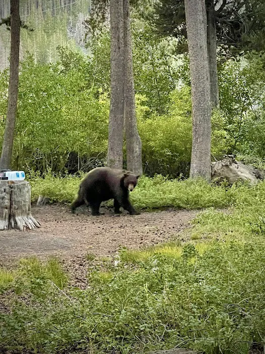 Twin Lakes Campground Picture 10