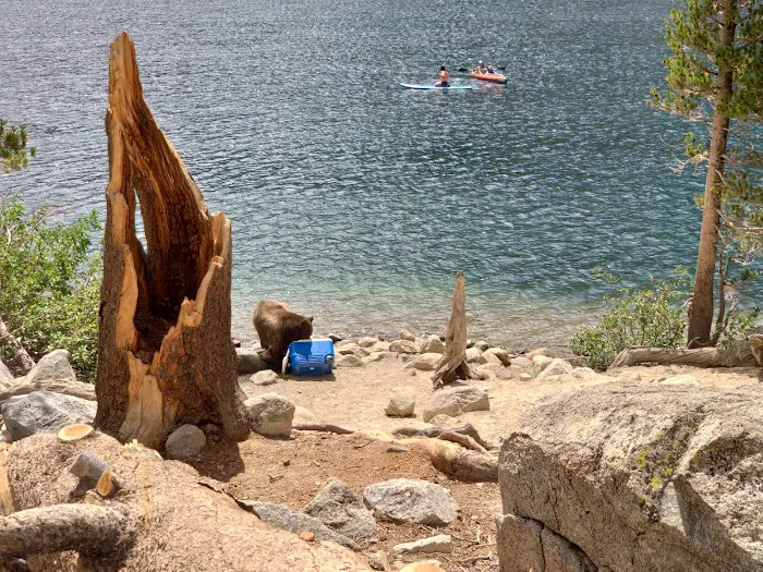Lake George Campground Picture 4