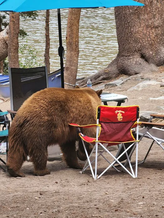 Lake Mary Campground Picture 1