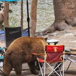 Lake Mary Campground