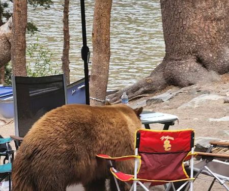 Lake Mary Campground