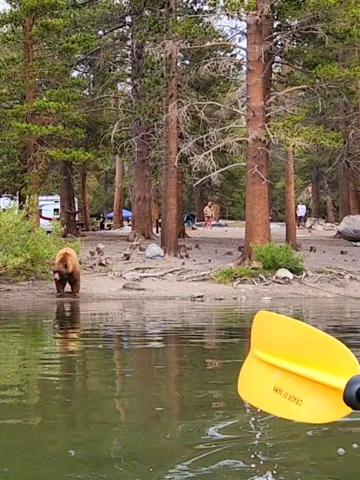 Lake Mary Campground Picture 6