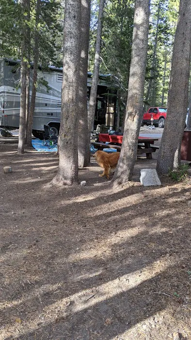 Coldwater Campground Picture 3