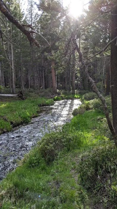 Coldwater Campground Picture 2