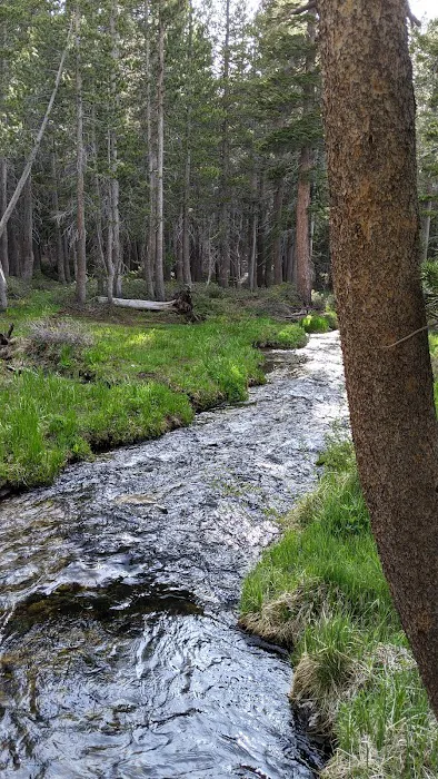 Coldwater Campground Picture 1