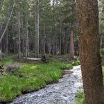 Coldwater Campground