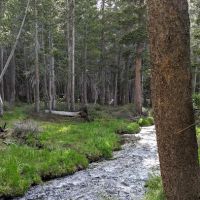 Coldwater Campground ico