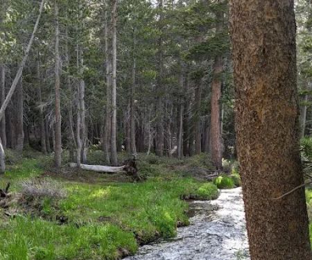 Coldwater Campground