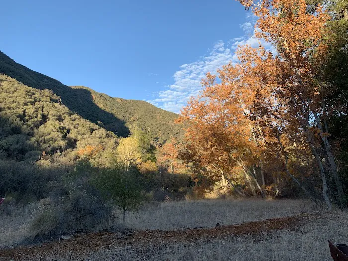 Coldwater Campground Picture 5